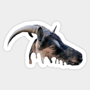 Goat head Sticker